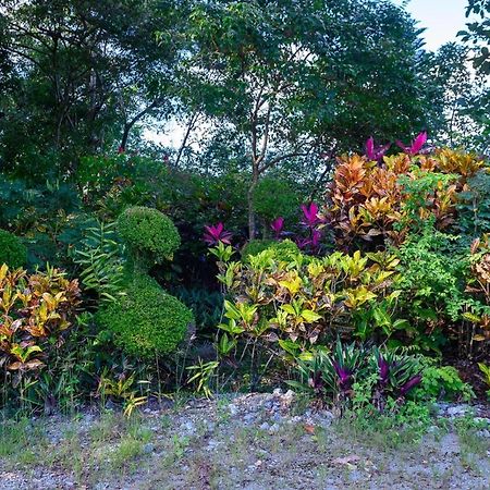 Hacienda La Huerta Puerto Plata, 1 Bdrヴィラ エクステリア 写真