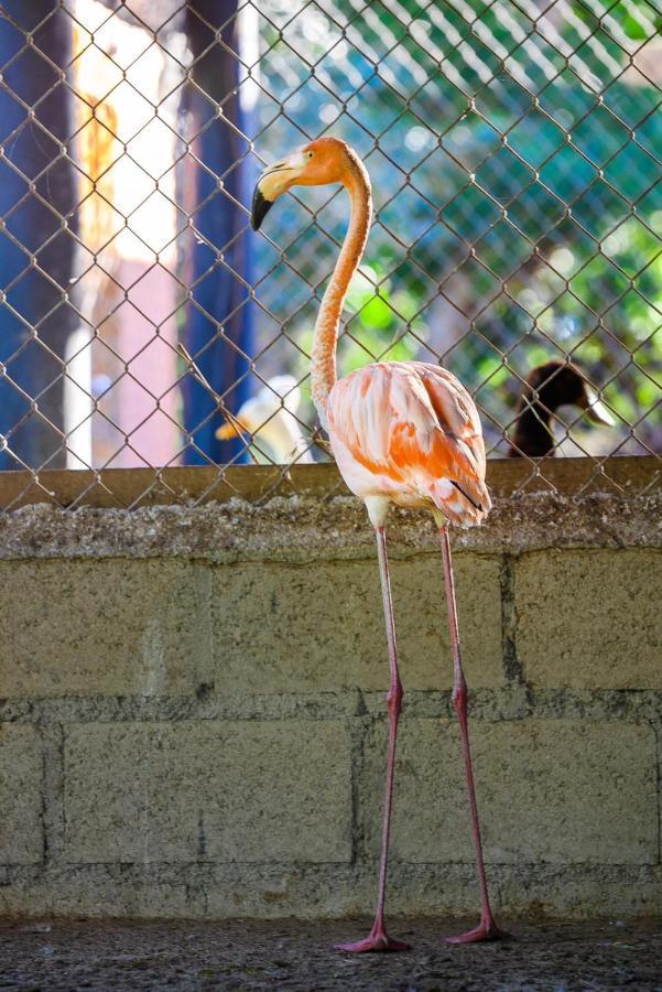Hacienda La Huerta Puerto Plata, 1 Bdrヴィラ エクステリア 写真