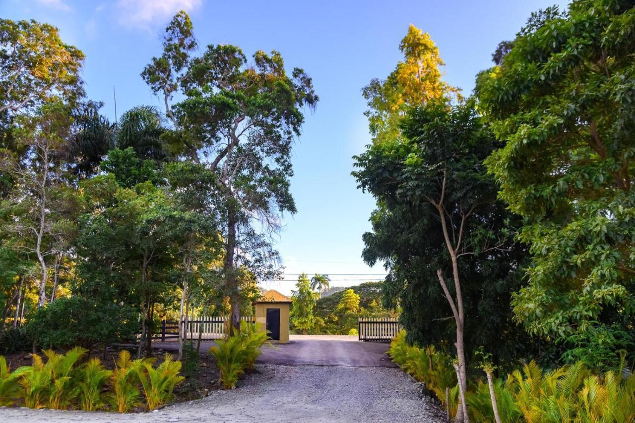 Hacienda La Huerta Puerto Plata, 1 Bdrヴィラ エクステリア 写真