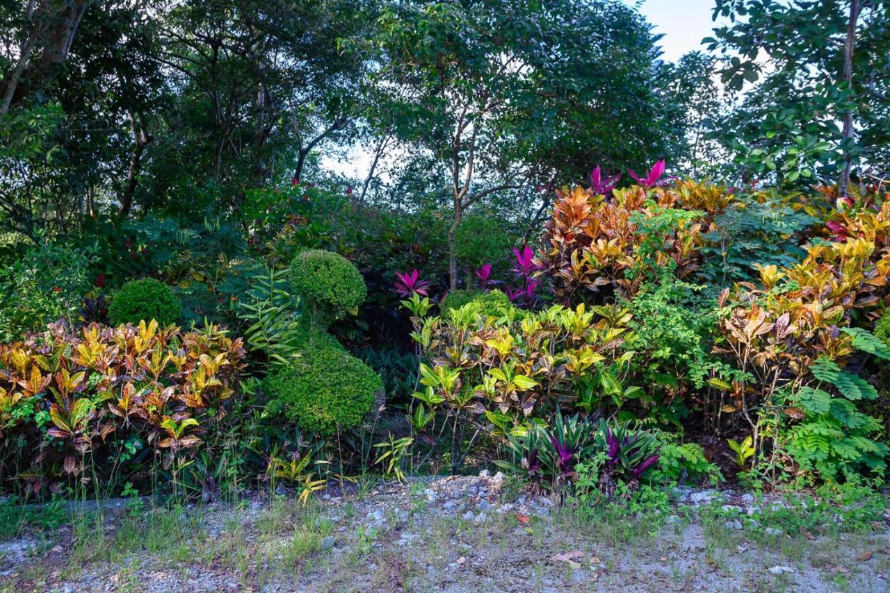 Hacienda La Huerta Puerto Plata, 1 Bdrヴィラ エクステリア 写真